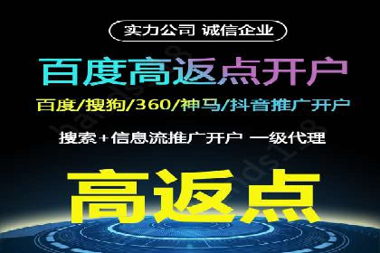 网站sem托管案例分享：如何精准投放广告